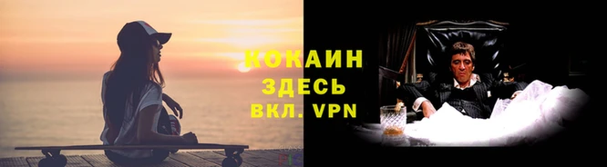 шишки Козловка